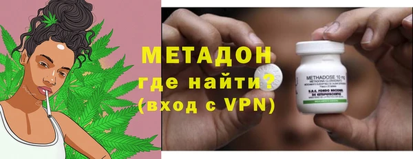 прущие грибы Арсеньев