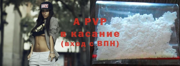 прущие грибы Арсеньев