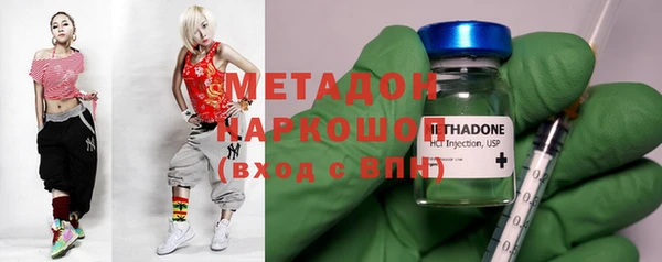 прущие грибы Арсеньев